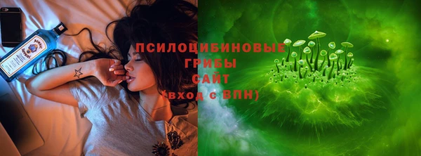гашик Волоколамск