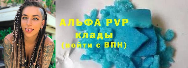 шишки Карпинск