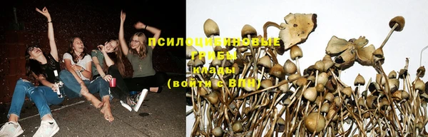 гашик Волоколамск
