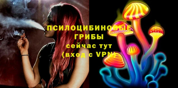 гашик Волоколамск