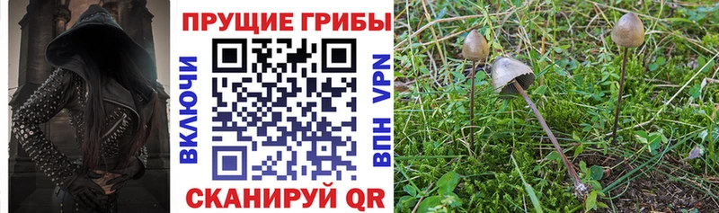 Псилоцибиновые грибы Magic Shrooms  Катав-Ивановск 